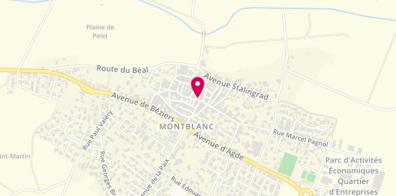 Plan de Ambulances Evasion, 2 place Paul Langevin, 34290 Montblanc