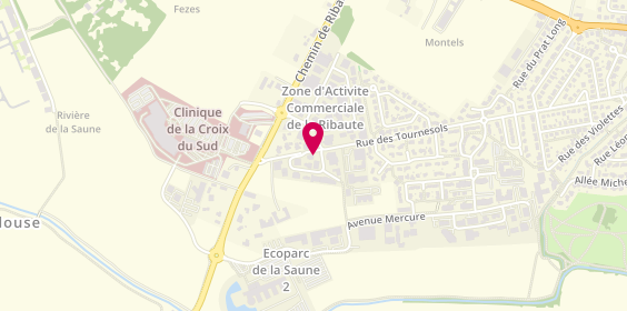 Plan de Ambulances de Fonsegrives, 2 Rue du Chateau de Ribaute, 31130 Quint-Fonsegrives