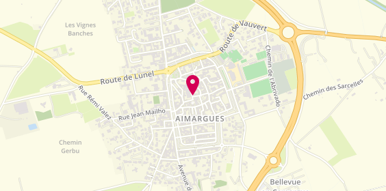 Plan de Ambulances du Midi, 1 Rue de l'Horloge, 30470 Aimargues