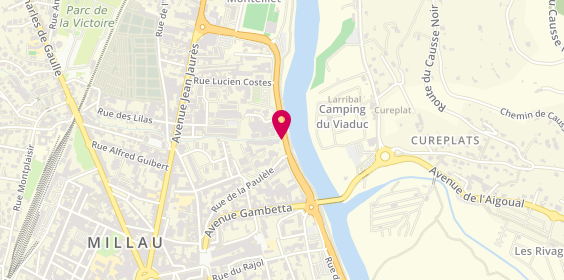 Plan de Ambulances Orts, 219 Rue Etienne Delmas, 12100 Millau