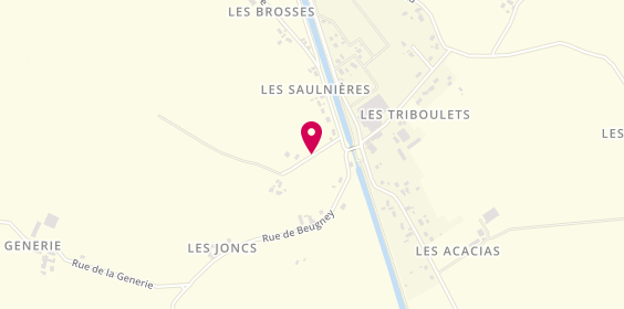 Plan de SAS Barges, Lieu-Dit Les Brosses, 03510 Chassenard
