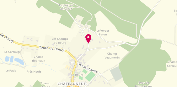 Plan de Ambulance RAPEAU Patrick, Route de Cessy, 58350 Châteauneuf-Val-de-Bargis