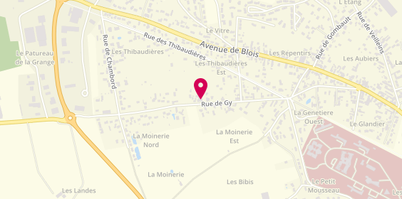 Plan de Ambulances Taxi Martin, 59 Rue de Gy, 41200 Romorantin-Lanthenay