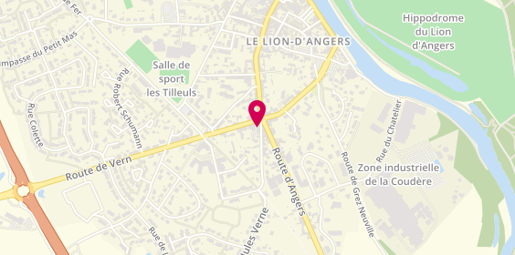 Plan de Ambulances Bizot / Taxis Bizot, Le
1 Route de Vern, 49220 Le Lion-d'Angers