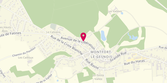 Plan de Azur Ambulances, 12 Bis Avenue de la Liberation, 72450 Montfort-le-Gesnois