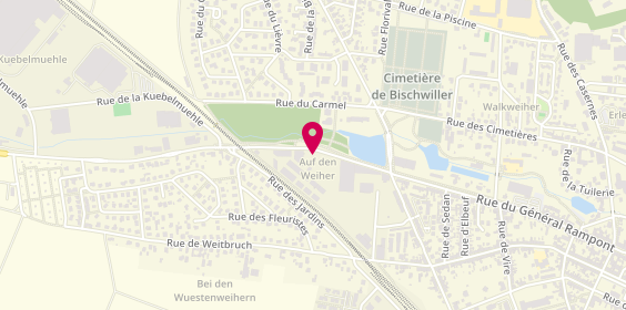 Plan de Elite Ambulances, 1 Rue de Marienthal, 67240 Bischwiller