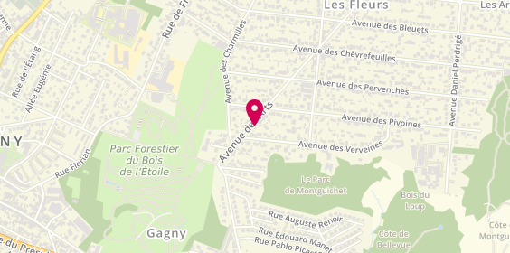 Plan de Ambulances Neuilly Plaisance, 219 avenue des Arts, 93220 Gagny