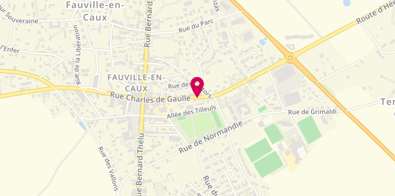 Plan de Ambulances Fauvillaises, 461 Rue Charles de Gaulle, 76640 Terres-de-Caux