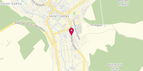 Plan de Saint Saens Ambulances, Rue Simone Valles, 76680 Saint-Saëns